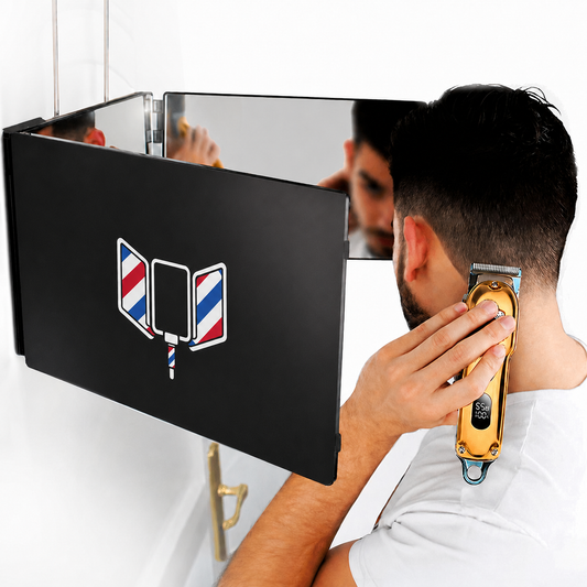 The 360° Mirror